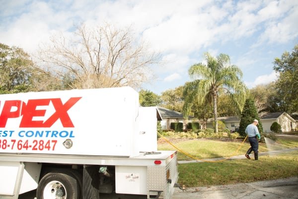 Apex Pest Control - Reliable Pest Control Services in Rockledge, FL