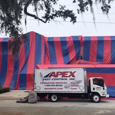 Apex Pest Control - Reliable Pest Control Services in Rockledge, FL