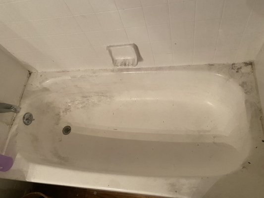Anya Quality Cleaning Service - Top-rated Cleaning Service in Orlando, FL