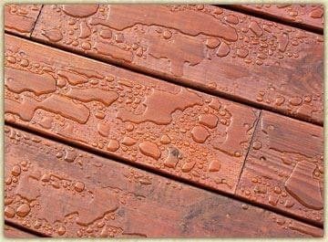 Indian River Pressure Washing  Cleanup Services - Mims, FL Review