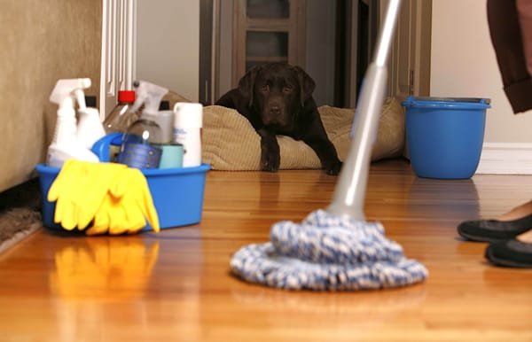Professional Cleaning Services in Orlando, FL