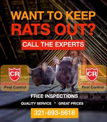 Critter Ridders Pest Control - Efficient and Reliable Pest Control Services in Merritt Island, FL