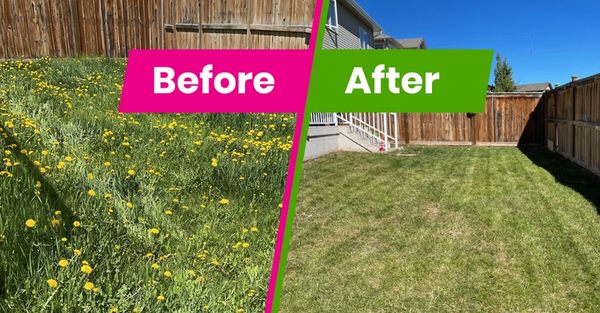 321 Home Solutions - Your Trusted Home Cleaning and Landscaping Experts in Melbourne, FL