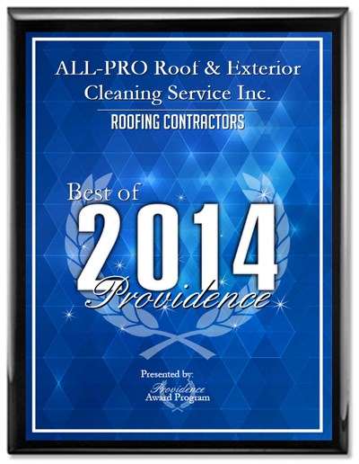 All-Pro Roof Cleaning Service