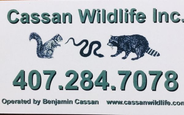 Cassan Wildlife - Pest Control and Wildlife Control Services