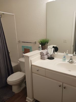 Laceys Pristine Cleaners in Palm Bay, FL - A Detailed Review