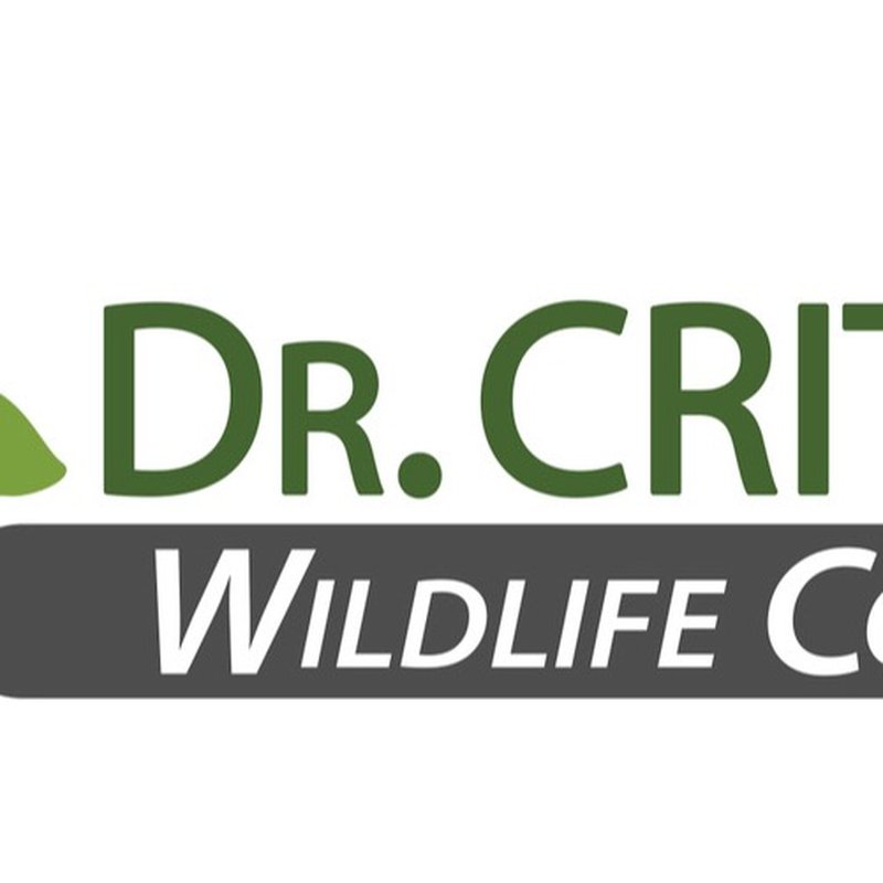 Dr Critter - Pest Control and Wildlife Removal in Sanford, FL