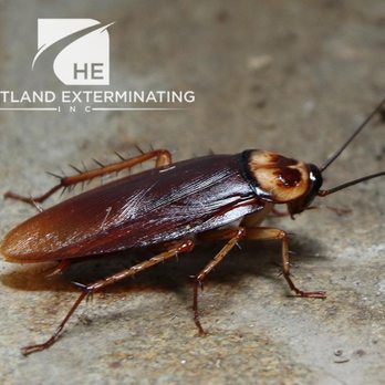 Heartland Exterminating - Pest Control and Lawn Services